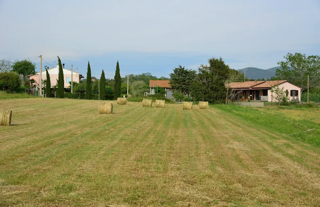 Agriturismo Ferri Di Ferri Donatella-1